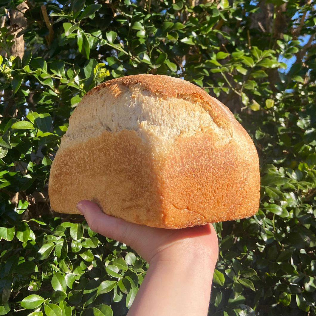 SOURDOUGH TIN LOAF